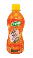 586 Trobico Orange juice pet bottle 360ml
